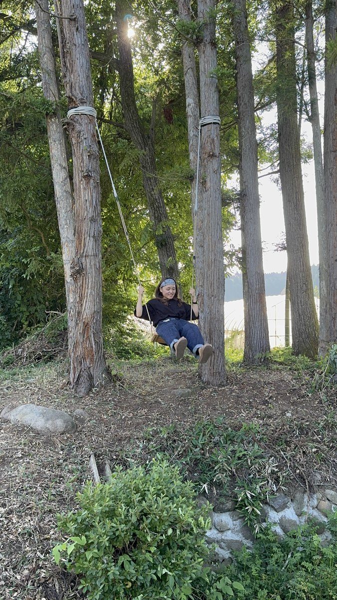 笹谷の稲穂