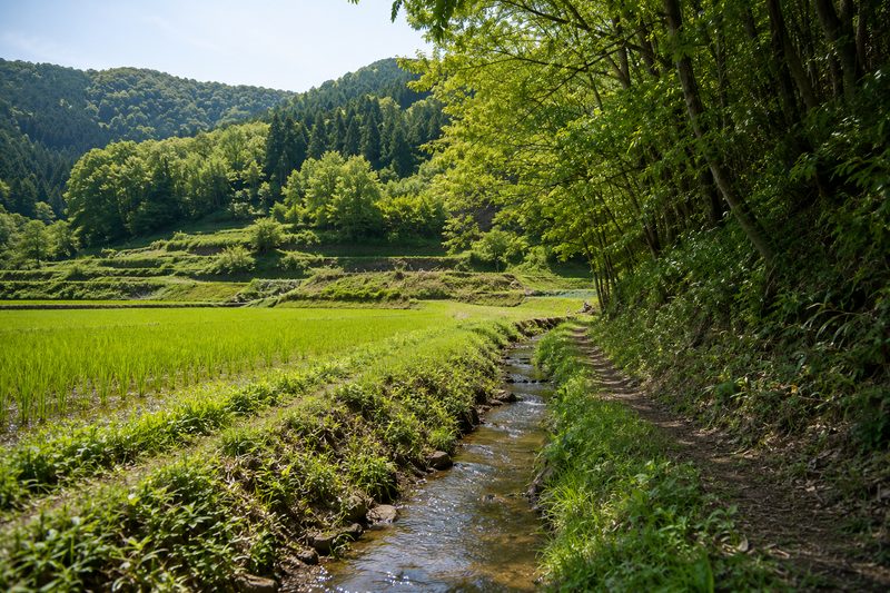自然とともに暮らす