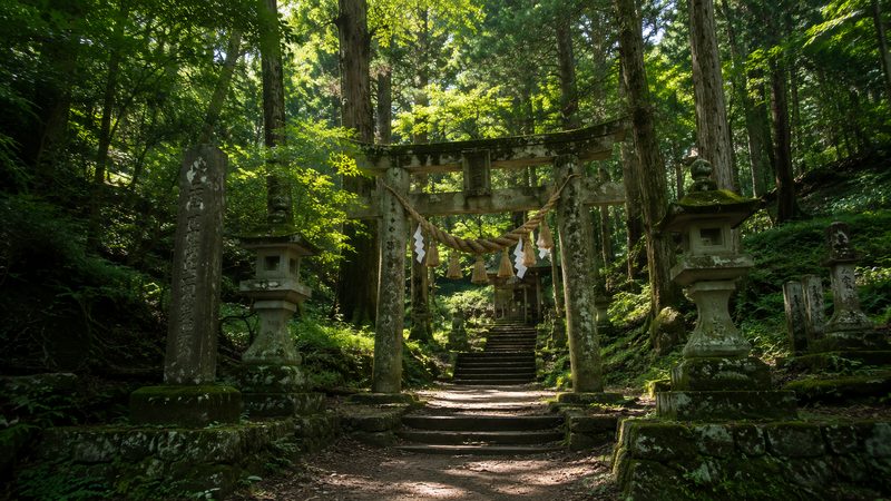 歴史を受け継ぐ