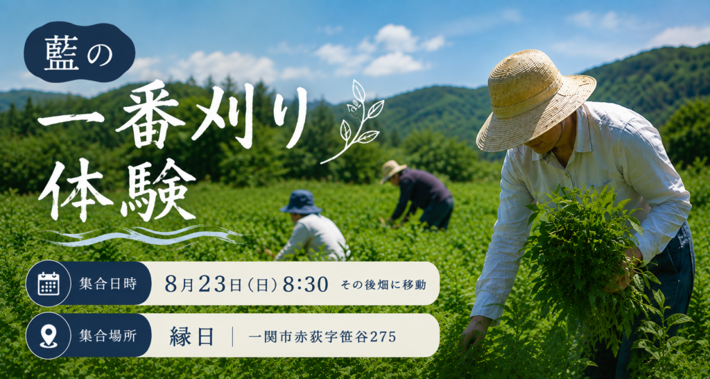 【参加者募集】藍の一番刈り体験｜8月23日（日）