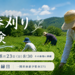 【参加者募集】藍の一番刈り体験｜8月23日（日）