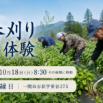 【参加者募集】藍の二番刈り体験｜10月18日（日）